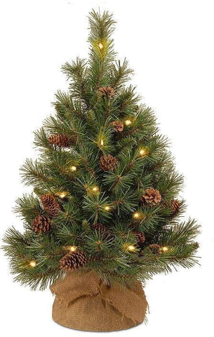 Jute Covering Tree Pinus Pinea "Silver Crest" with Christmas Lights - Flowers Box London