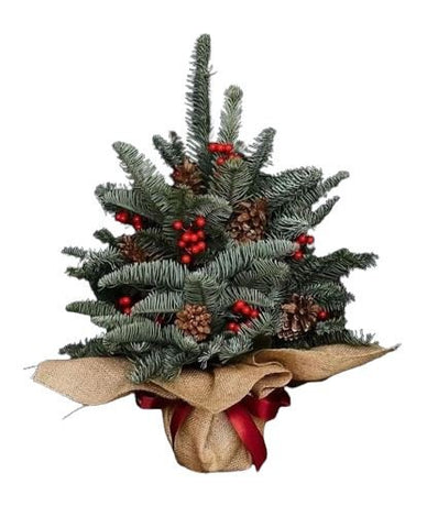 Jute Wrapped Blue Spruce Christmas Tree with Red Berries and Cones - Flowers Box London