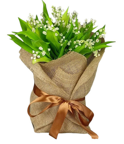 Jute Wrapped Lily of Valley with Roots - Flowers Box London