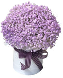 Lavender Gypsophila Box