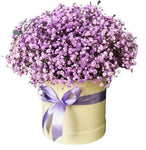 Lavender Gypsophila Box