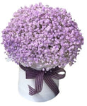 Lavender Gypsophila Box - Flowers Box London