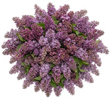 Lavender Lilac Bouquet - Flowers Box London