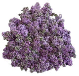 Lavender Lilac Bouquet