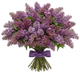 Lavender Lilac Bouquet - Flowers Box London
