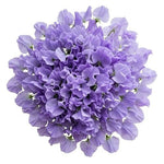 Lavender Sweet Pea Bouquet - Flowers Box London