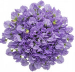 Lavender Sweet Pea Bouquet