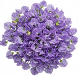 Lavender Sweet Pea Bouquet