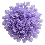 Lavender Sweet Pea Bouquet