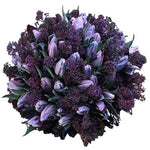 Lavender Tulips and Deep Purple Skimmia Bouquet - Flowers Box London