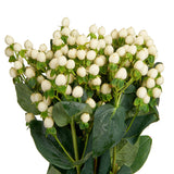 Leaf Lauren Crown with GREEN RIBBON + white berry hypericum + some gypsophila - Flowers Box London