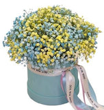 Light Blue and Yellow Baby's Breath Box - Flowers Box London