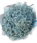 Light Blue Gypsophila Bouquet