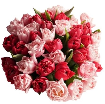 Light Pink and Red Double Tulips Bouquet - Flowers Box London