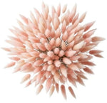 Light Pink Lagurus Bouquet - Flowers Box London