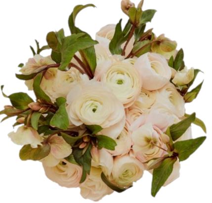 Light Pink Ranunculus and Helleborus Bouquet