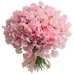 Light Pink Sweet Pea Bouquet - Flowers Box London