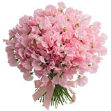 Light Pink Sweet Pea Bouquet - Flowers Box London