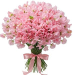 Light Pink Sweet Pea Bouquet - Flowers Box London