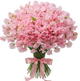 Light Pink Sweet Pea Bouquet - Flowers Box London