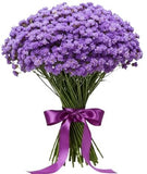 Light Purple Limonium Bouquet - Flowers Box London