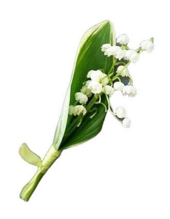 Lily of the Valley Buttonhole