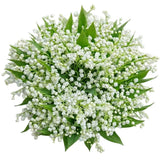 Lily of Valley Bouquet - Flowers Box London