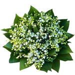 Lily of Valley Bouquet