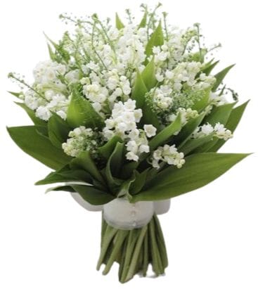 Lily of Valley with Green Bell Bridal Bouquet
