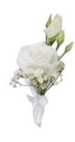 Lisianthus with Gypsophila Buttonhole