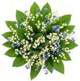 Little Fragrant Precious Bouquet - Flowers Box London