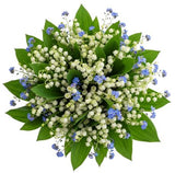 Little Fragrant Precious Bouquet