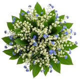 Little Fragrant Precious Bouquet - Flowers Box London