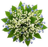 Little Fragrant Precious Bouquet - Flowers Box London