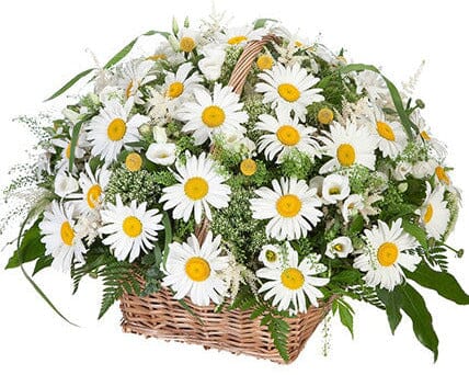 Lovely Basket of Daisy and Lisianthus - Flowers Box London