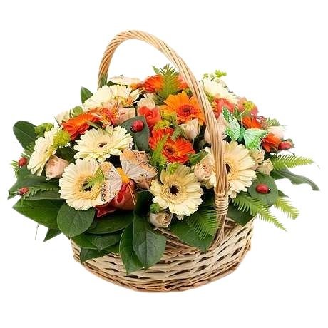Lovely Basket of Gerberas with Butterflies - Flowers Box London