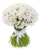 Lovely Bouquet of Paperwhite Ziva Narcissus - Flowers Box London