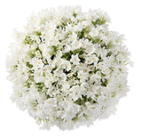 Lovely Bouquet of Paperwhite Ziva Narcissus - Flowers Box London