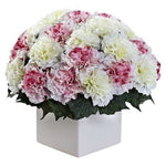 Lovely Box of Carnations - Flowers Box London
