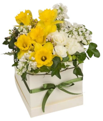 Lovely Box of Daffodils and Lilac Flowers