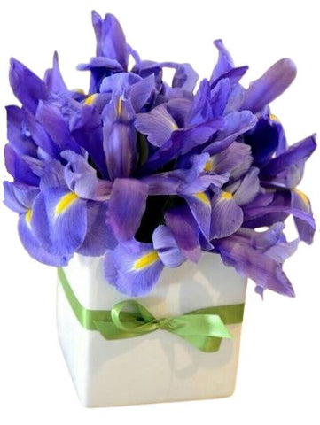 Lovely Box of Irises