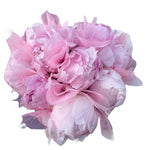 Lovely Peonies Box with Skeleton Leaves - Flowers Box London