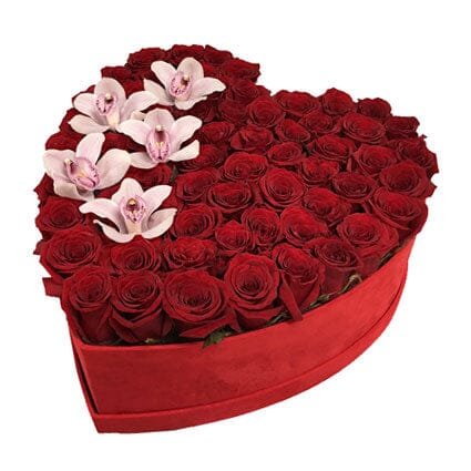 Loving Box of Roses with Cymbidium - Flowers Box London
