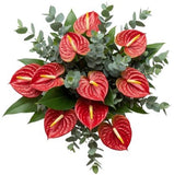 Luxury Anthurium with Eucalyptus Bouquet