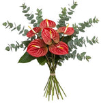 Luxury Anthurium with Eucalyptus Bouquet