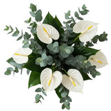 Luxury Anthurium with Eucalyptus Bouquet
