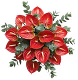Luxury Anthurium with Eucalyptus Bouquet