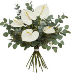 Luxury Anthurium with Eucalyptus Bouquet