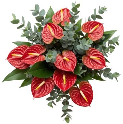 Luxury Anthurium with Eucalyptus Bouquet - Flowers Box London