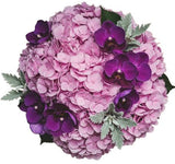 Luxury Bouquet of Hydrangea and Phalaenopsis Orchids